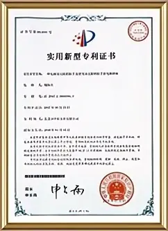 Patent Recognition Authentication Records