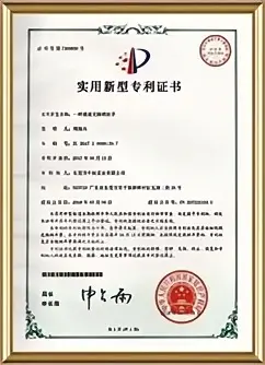 Patent Recognition Authentication Records