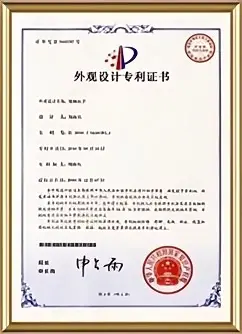 Patent Recognition Authentication Records