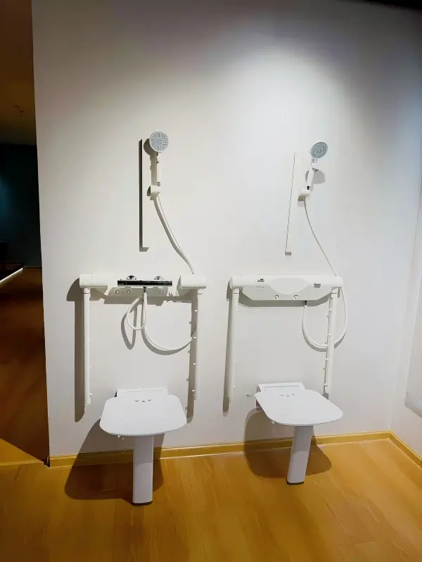 Seated Shower System