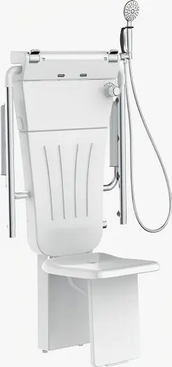 Toilet Safety Rails:ZF-B8003